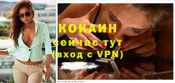крисы Вязники