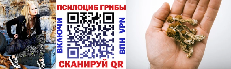Галлюциногенные грибы мицелий MEGA ССЫЛКА Павловская